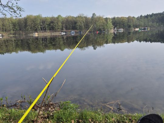 Rosenbecksee (Eichhorst)-1