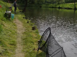 Angelweiher Fließemer Mühle