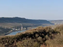 Mosel (Wincheringen)-0