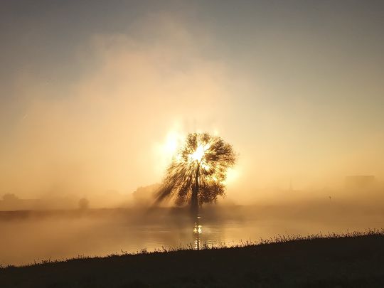 Ijssel (Zutphen)
