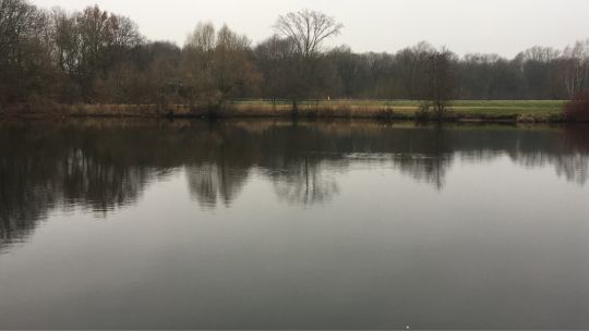 Doesburger Teiche und Grachten -2