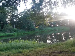 Ems (Wesuwe / Hüntel)