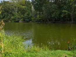 Die Strenge (Aderstedt)-4