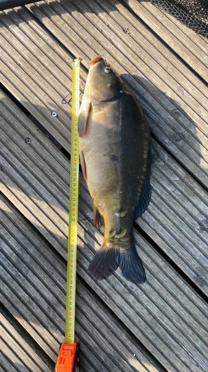 Ententeich (Wismar)-1