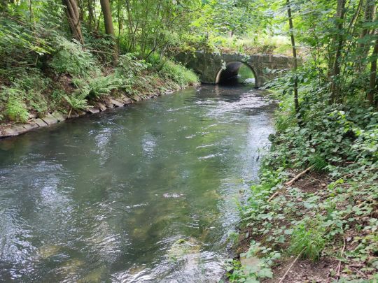 Sickergraben Isar 2 (rechts)-4