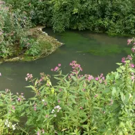 Sickergraben Isar 2 (rechts)-1