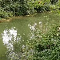 Sickergraben Isar 2 (rechts)