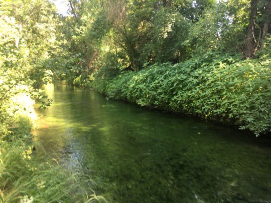 Sickergraben Isar 2 (rechts)-3