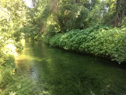 Sickergraben Isar 2 (rechts)-3