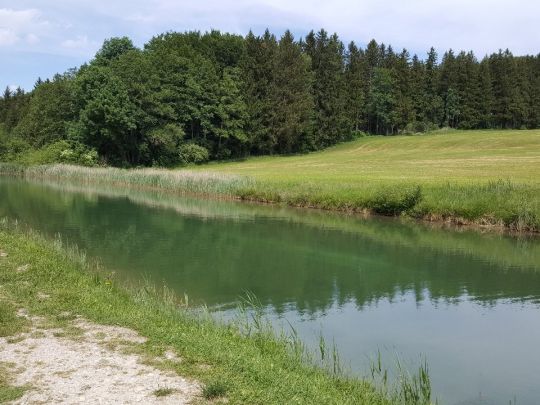 Fischzucht Mindeltal-1