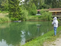 Fischzucht Mindeltal-4