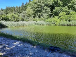 Fischzucht Mindeltal-2