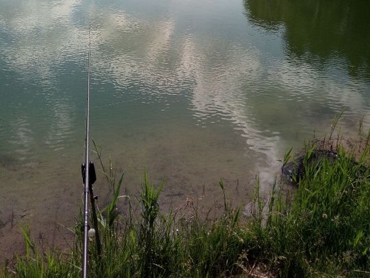 Fischzucht Mindeltal