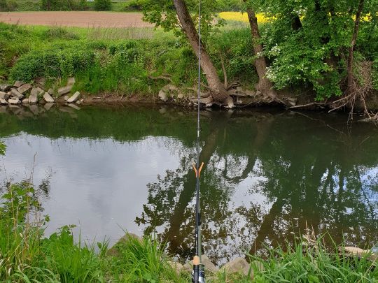 Angeln in Mellrichstadter Forst
