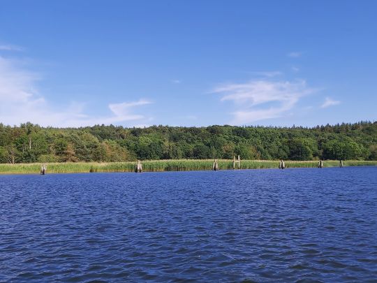 Jasmunder Bodden (Ralswiek)-2