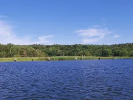 Jasmunder Bodden (Ralswiek)-2