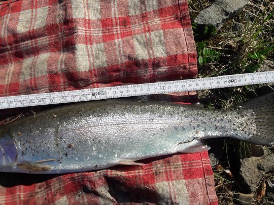 Stausee Obermaubach-3