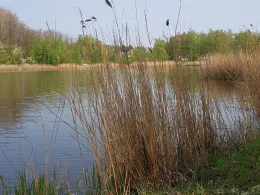 Kaolingrube Gutenberg-4