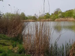 Kaolingrube Gutenberg-3