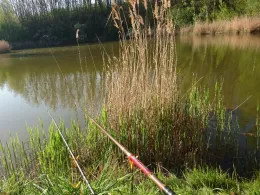 Kaolingrube Gutenberg-2