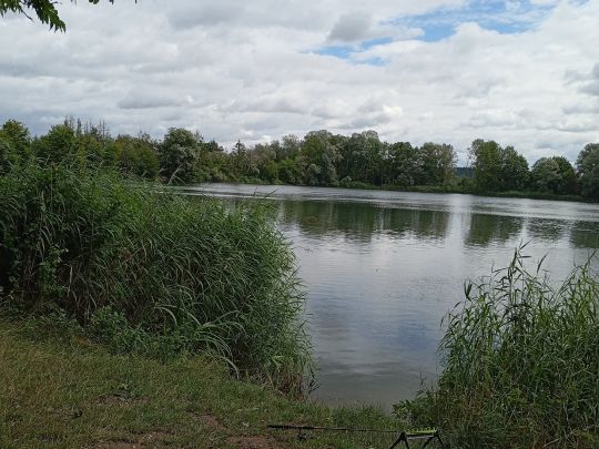 Sandsee 1 (Langweid)-1