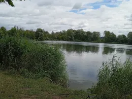 Sandsee 1 (Langweid)-1