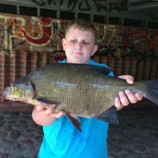 Allermöher Fleet-System-1