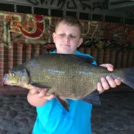 Allermöher Fleet-System-1