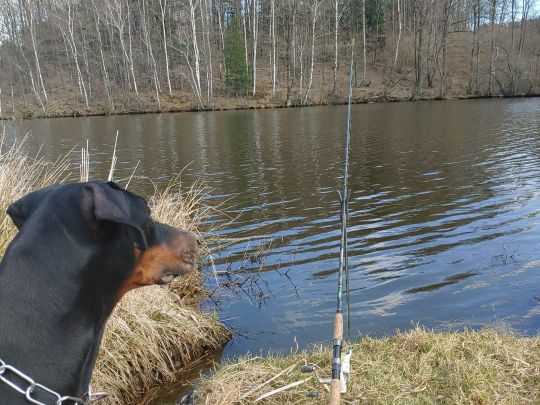 Mühlweiher (Neubäu)-2