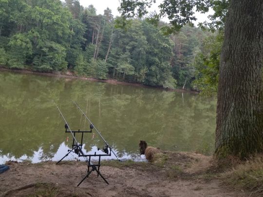 Mühlweiher (Neubäu)-4