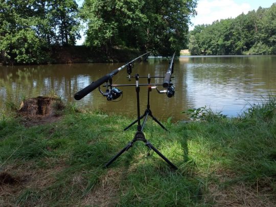 Mühlweiher (Neubäu)-3