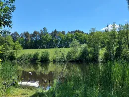 Mühlweiher (Neubäu)-1