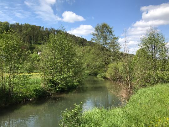 Lauterach (Schmidmühlen)-1