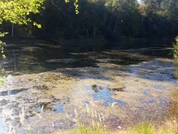 Baggerteich Fermerswalde-3