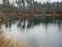 Baggerteich Fermerswalde-4