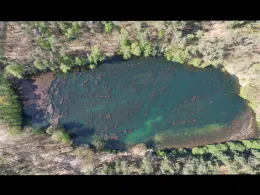 Baggerteich Fermerswalde-1