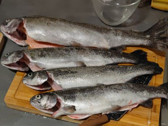 Teichanlage Graaf (Montzen)-3