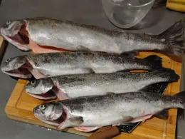 Teichanlage Graaf (Montzen)-3