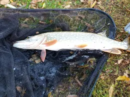 Alte Badeanstalt Zerbst-1