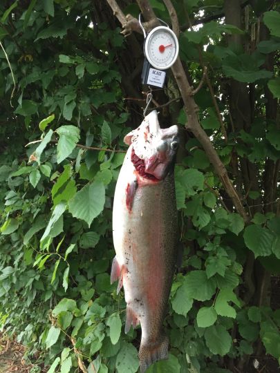 Forellenhof Overesch