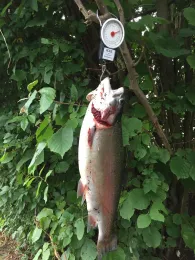 Forellenhof Overesch