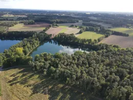 Kleiner Heidesee (Bad Laer)-4