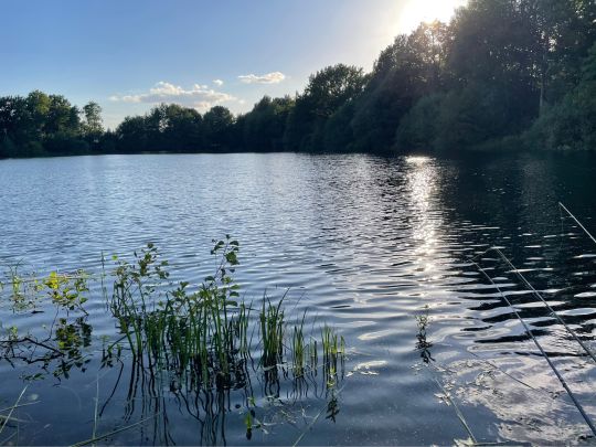 Kleiner Heidesee (Bad Laer)