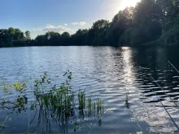 Kleiner Heidesee (Bad Laer)