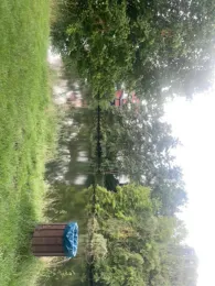 Fischbachteich (Bad Emstal)