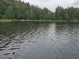 Aspen-1
