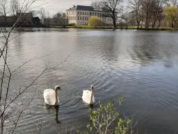 Schloßteich Dölkau-2