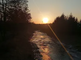 Müglitz (Heidenau)-2