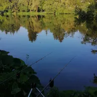 Regnitzsee (Altwasser Burk)-1