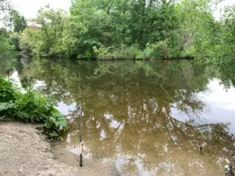 Regnitzsee (Altwasser Burk)-2